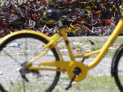 上海共享單車“大墓地”，車輛堆積如山