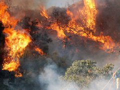 洛杉磯爆發(fā)史上最大山火，宣布進入緊急狀態(tài)