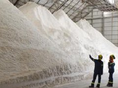 氧化鋁行情分析：延續(xù)放量上漲，賣(mài)方看漲市場(chǎng)