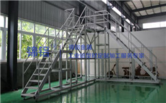 工業(yè)踏步平臺(tái)安全及護(hù)欄要求有哪些